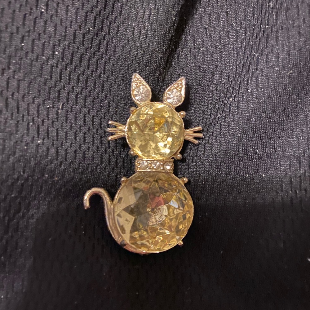 Decorative cat pin